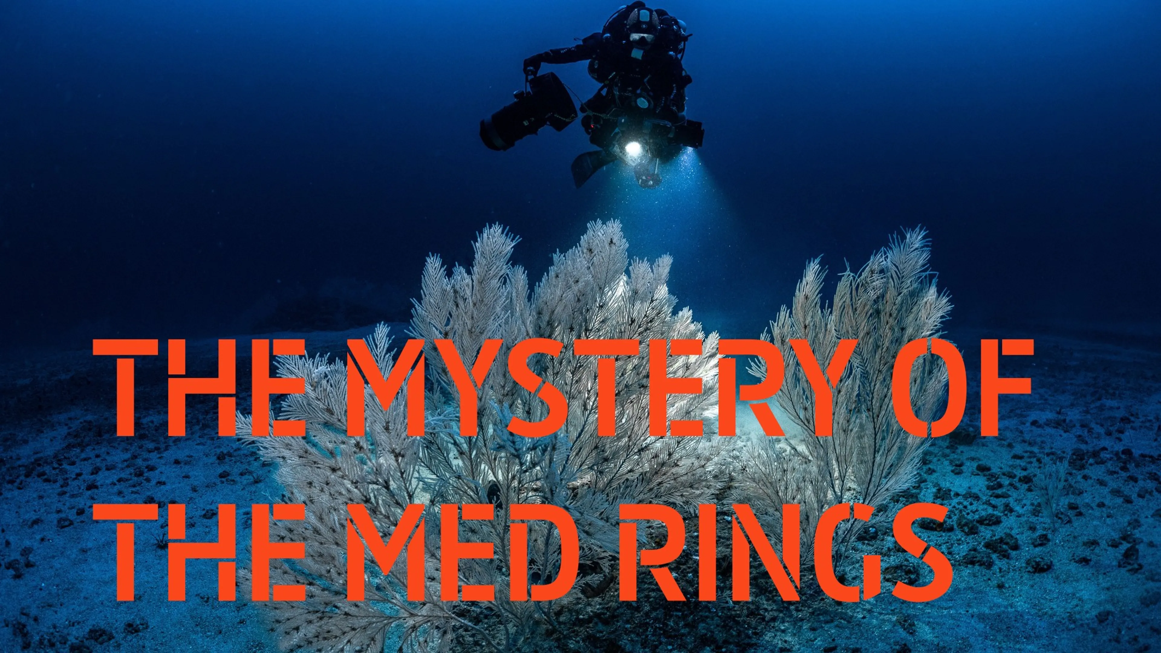 Title poster image